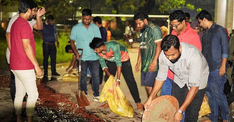 শেকৃবিতে ছাত্রদলের উদ্যোগে বেহাল রাস্তা সংস্কার