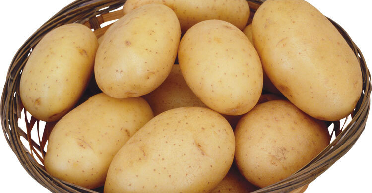 ঘূর্ণিঝড় মিগজাউমের প্রভাবে আলুর উৎপাদন ক্ষতিগ্রস্ত