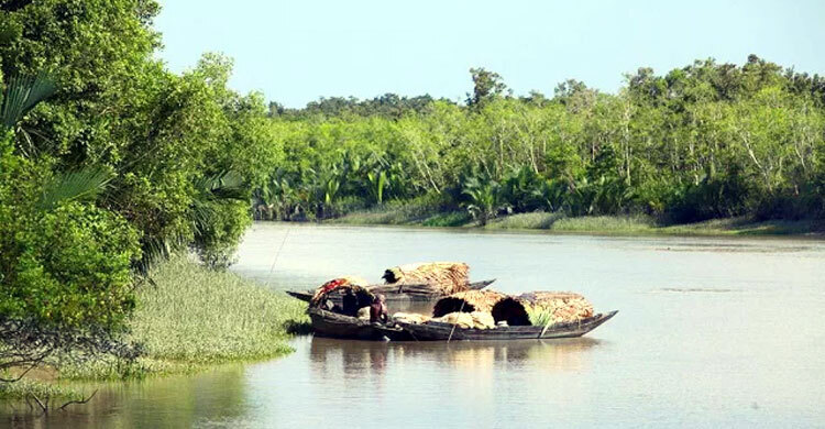 Govt bans industries within 10 km of Sundarbans