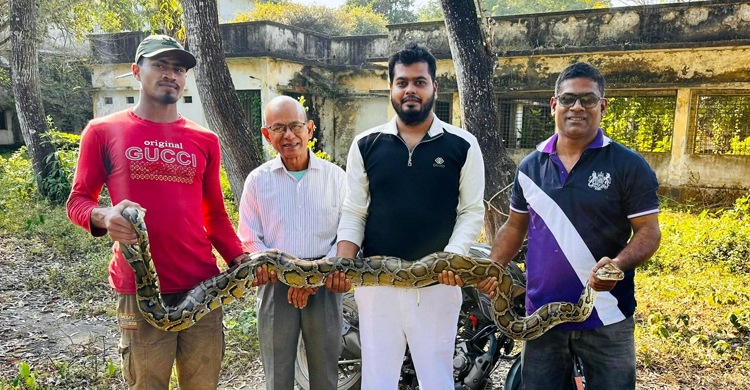 শ্রীমঙ্গলে লোকালয়ে মিললো অজগর