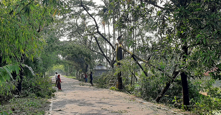 নেত্রকোনায় আকস্মিক ঝড়ে শতাধিক ঘর লন্ডভন্ড