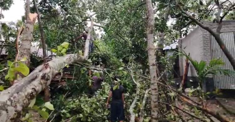 লালমনিরহাটে ঝড়ে বিধ্বস্ত শতাধিক ঘরবাড়ি