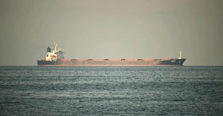 Trump suggests US could leave allies alone to secure Hormuz