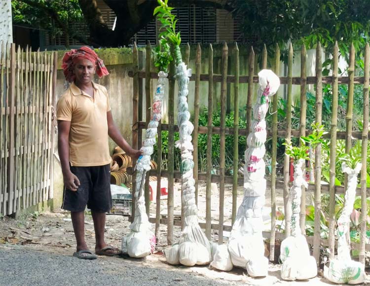 চাকরি ছেড়ে নার্সারি, ৬ মাসে আয় ১২ লাখ