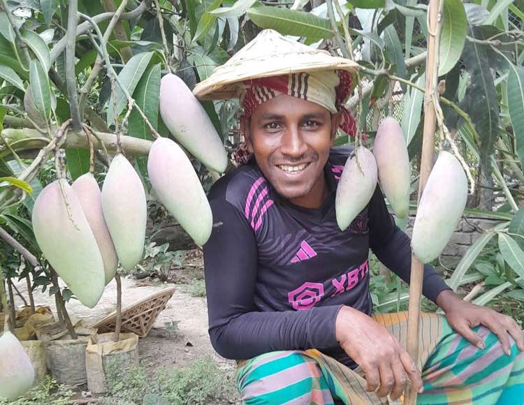 চাকরি ছেড়ে নার্সারি, ৬ মাসে আয় ১২ লাখ