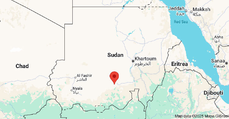 RSF agrees to humanitarian ceasefire in Sudan war