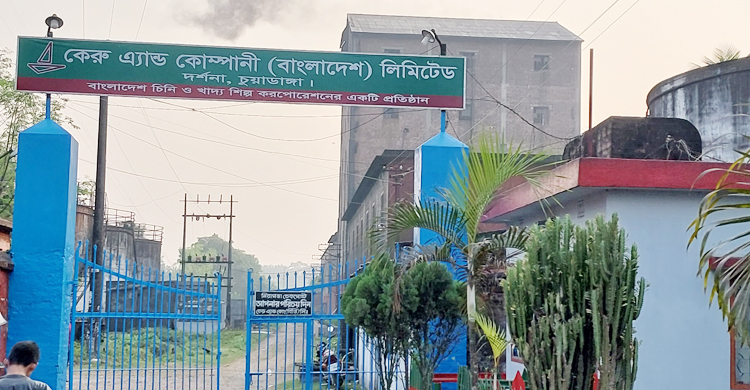 দর্শনা কেরু অ্যান্ড কোম্পানিতে আখ মাড়াই মৌসুম শুরু