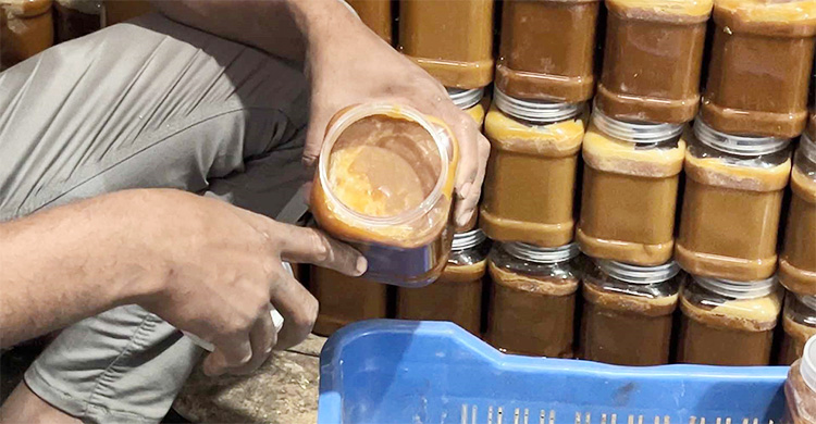 চাষিদের আশা দেখাচ্ছে আখের গুড়-পাউডার