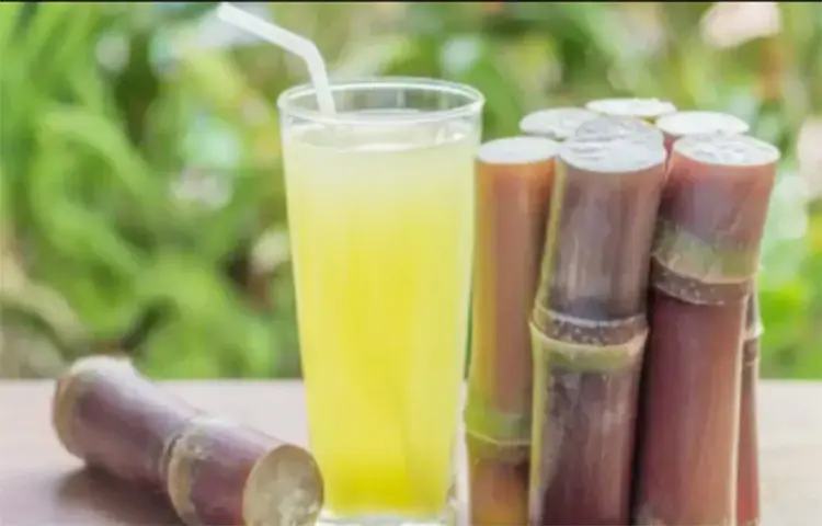 আখের রস কী হিট স্ট্রোক থেকে বাঁচায়?