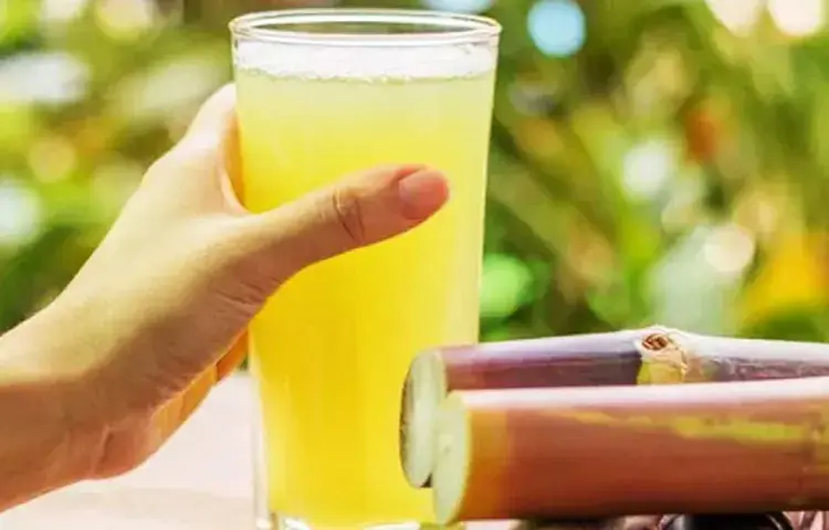 আখের রস কী হিট স্ট্রোক থেকে বাঁচায়?