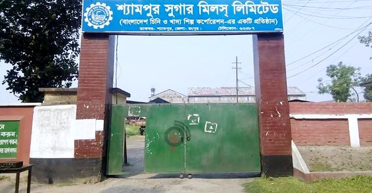 আশা জাগাচ্ছে শ্যামপুর চিনিকল, রয়েছে নতুন চ্যালেঞ্জ