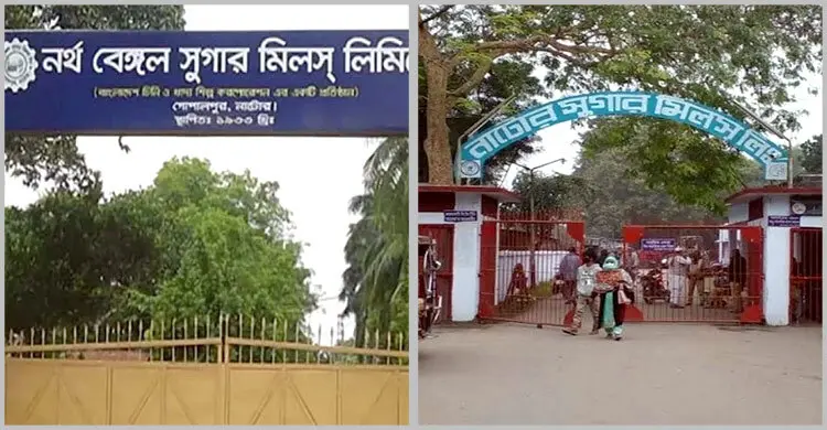 থামছেই না লোকসান, অস্তিত্ব সংকটে নর্থ বেঙ্গল ও নাটোর সুগার মিল