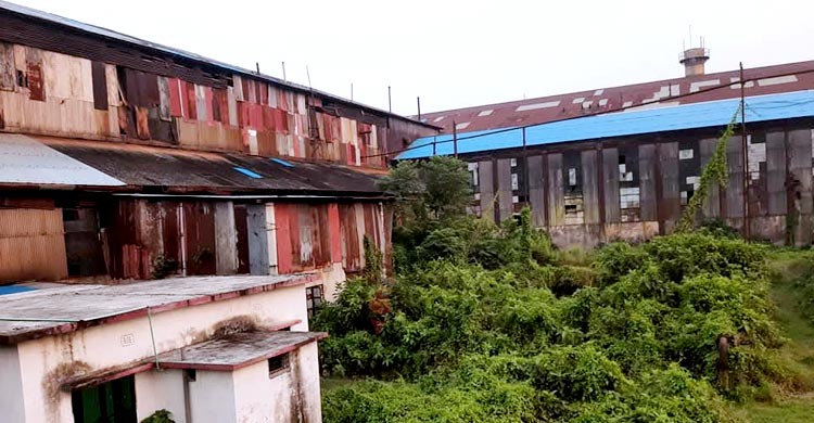 আশা জাগাচ্ছে শ্যামপুর চিনিকল, রয়েছে নতুন চ্যালেঞ্জ