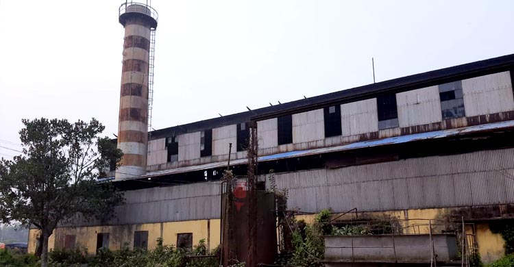 আশা জাগাচ্ছে শ্যামপুর চিনিকল, রয়েছে নতুন চ্যালেঞ্জ