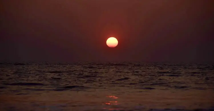 ২০২৬: নতুন বছরের আলোয় হারানোর বেদনা ভুলে বড় হোক অর্জনের খাতা