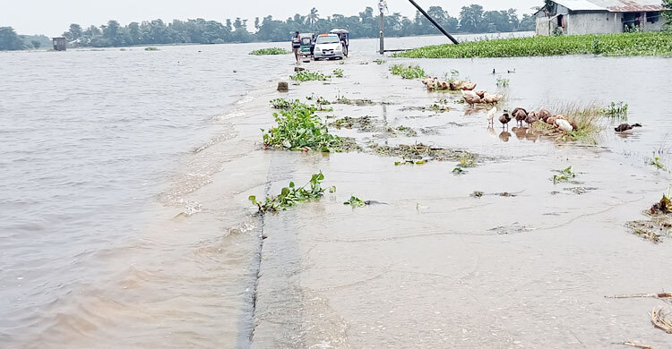 পানি কমায় স্বস্তিতে সুনামগঞ্জের মানুষ