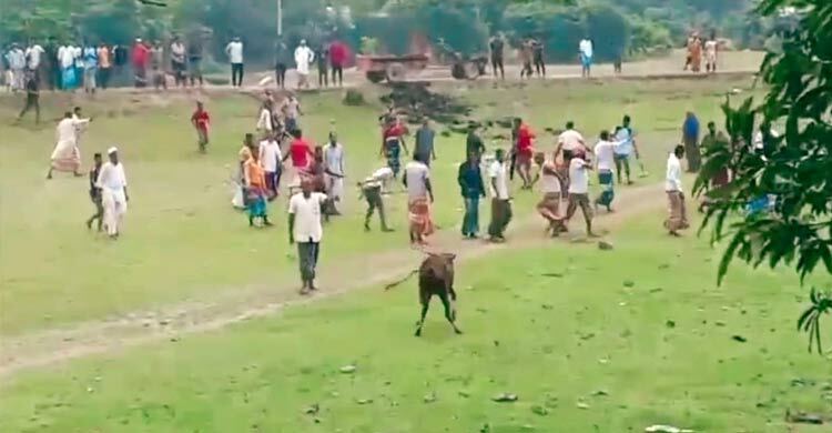 সুনামগঞ্জে জমি নিয়ে দুই পক্ষের সংঘর্ষ, আহত ১৫