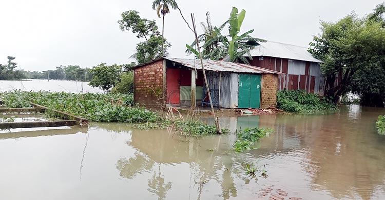বছর বছর বন্যা যেন সুনামগঞ্জবাসীর নিয়তি