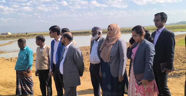 হাওরের ফসল রক্ষায় ১০৩ কোটি টাকার বাঁধ নির্মাণ শুরু