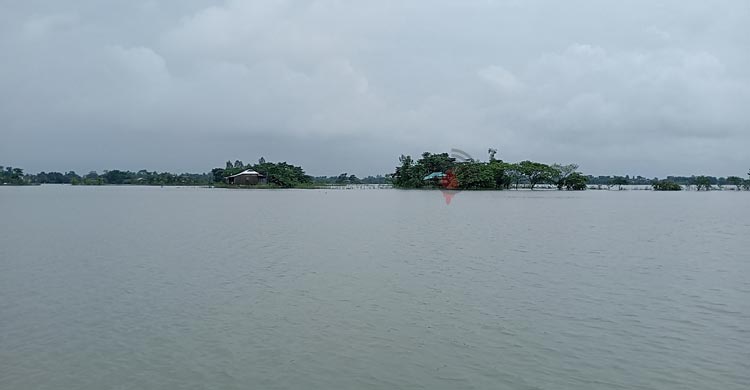 বছর বছর বন্যা যেন সুনামগঞ্জবাসীর নিয়তি