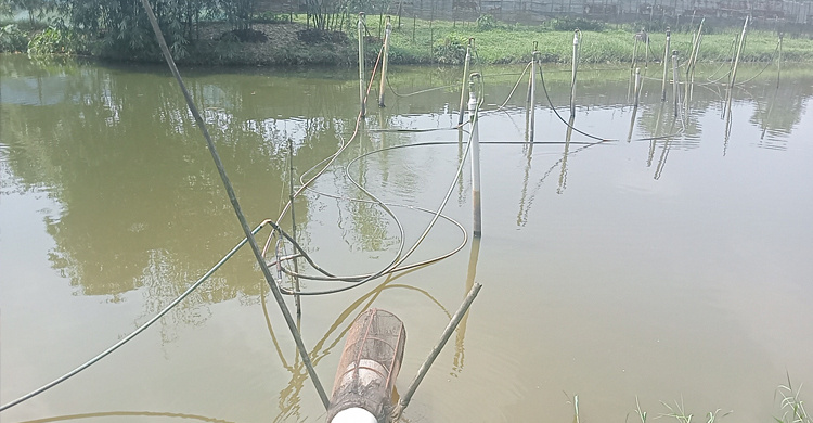 পুকুর থেকে গ্যাস তুলে কোটি টাকার বাণিজ্য