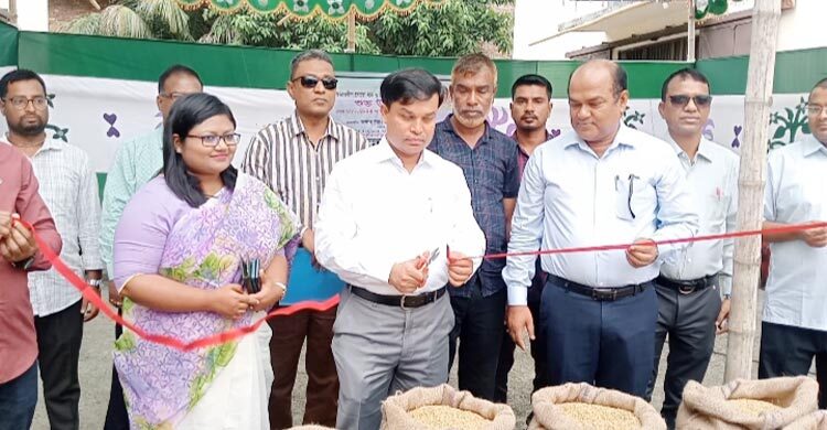 সুনামগঞ্জে ধান-চাল কেনা কার্যক্রম শুরু