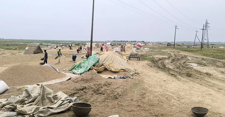 সুনামগঞ্জে প্রকৃত কৃষকরাই বাদ পড়ছে সরকারি সহায়তার তালিকা থেকে