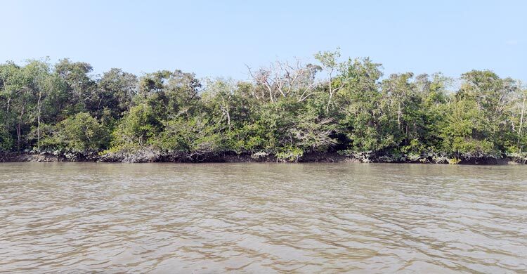 মুক্তিপণ দিয়ে ছাড়া পেয়েছেন অপহৃত ১৪ জেলে, জিম্মি ৬