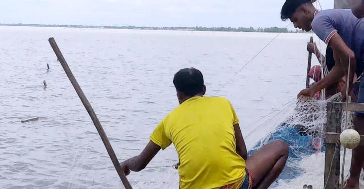 প্রাণ-প্রকৃতির সুরক্ষায় সুন্দরবনে পর্যটক প্রবেশসহ নদী-খালে মাছ ও কাঁকড়া ধরার ওপর নিষেধাজ্ঞা শেষ হয়েছে। গত ১ জুন থেকে ৩১ আগস্ট পর্যন্ত তিন মাসের এই নিষেধাজ্ঞা