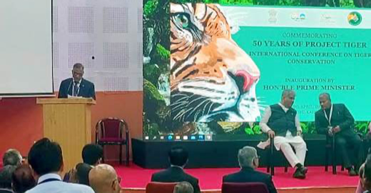 বাঘ সংরক্ষণে ভারতের সঙ্গে আন্তঃসীমান্ত সহযোগিতা গুরুত্বপূর্ণ