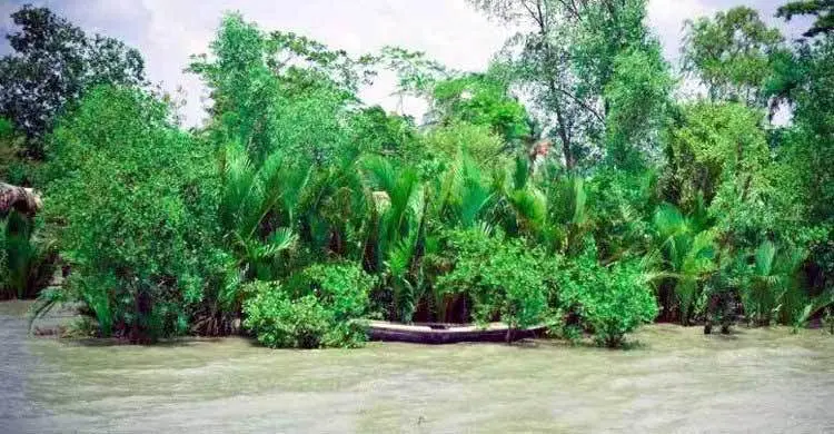 সুন্দরবন দিবস আজ