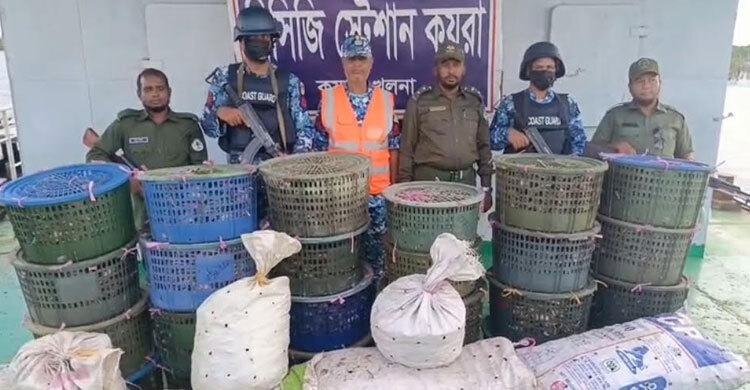সুন্দরবনে অভিযান, আড়াই লাখ টাকার কাঁকড়া জব্দ