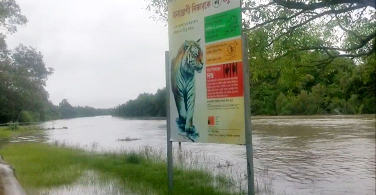 অস্বাভাবিক জোয়ারে তলিয়েছে পুরো সুন্দরবন