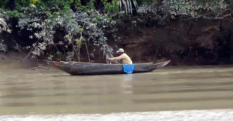 প্রাণ-প্রকৃতির সুরক্ষায় সুন্দরবনে পর্যটক প্রবেশসহ নদী-খালে মাছ ও কাঁকড়া ধরার ওপর নিষেধাজ্ঞা শেষ হয়েছে। গত ১ জুন থেকে ৩১ আগস্ট পর্যন্ত তিন মাসের এই নিষেধাজ্ঞা