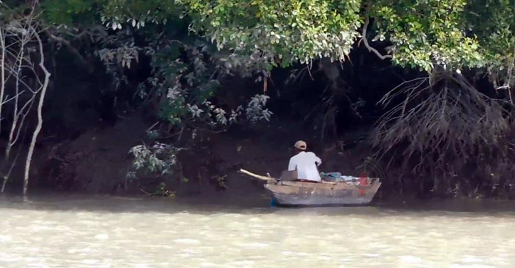প্রাণ-প্রকৃতির সুরক্ষায় সুন্দরবনে পর্যটক প্রবেশসহ নদী-খালে মাছ ও কাঁকড়া ধরার ওপর নিষেধাজ্ঞা শেষ হয়েছে। গত ১ জুন থেকে ৩১ আগস্ট পর্যন্ত তিন মাসের এই নিষেধাজ্ঞা