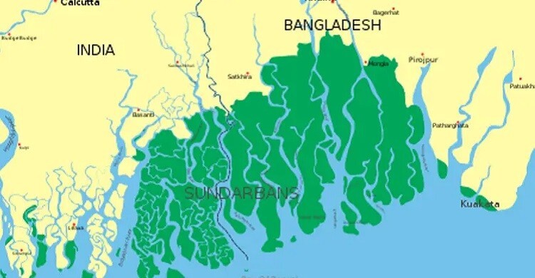 বাঘ বিধবা ভাতা চালুর দাবি সংসদে
