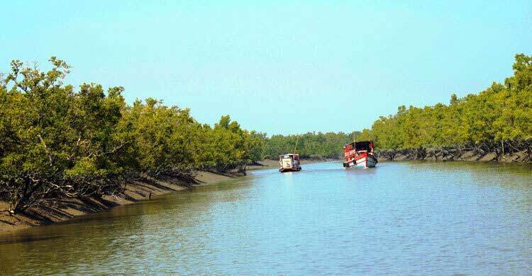 Sundarbans shielded: No new industries in 10-km eco-zone