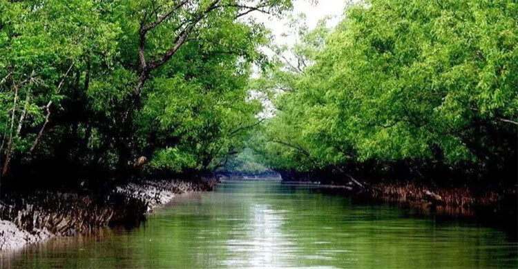 3-month ban on tourism, fishing in Sundarbans