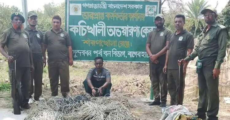 সুন্দরবনে ৪ হাজার ফুট ফাঁদসহ হরিণ শিকারি আটক