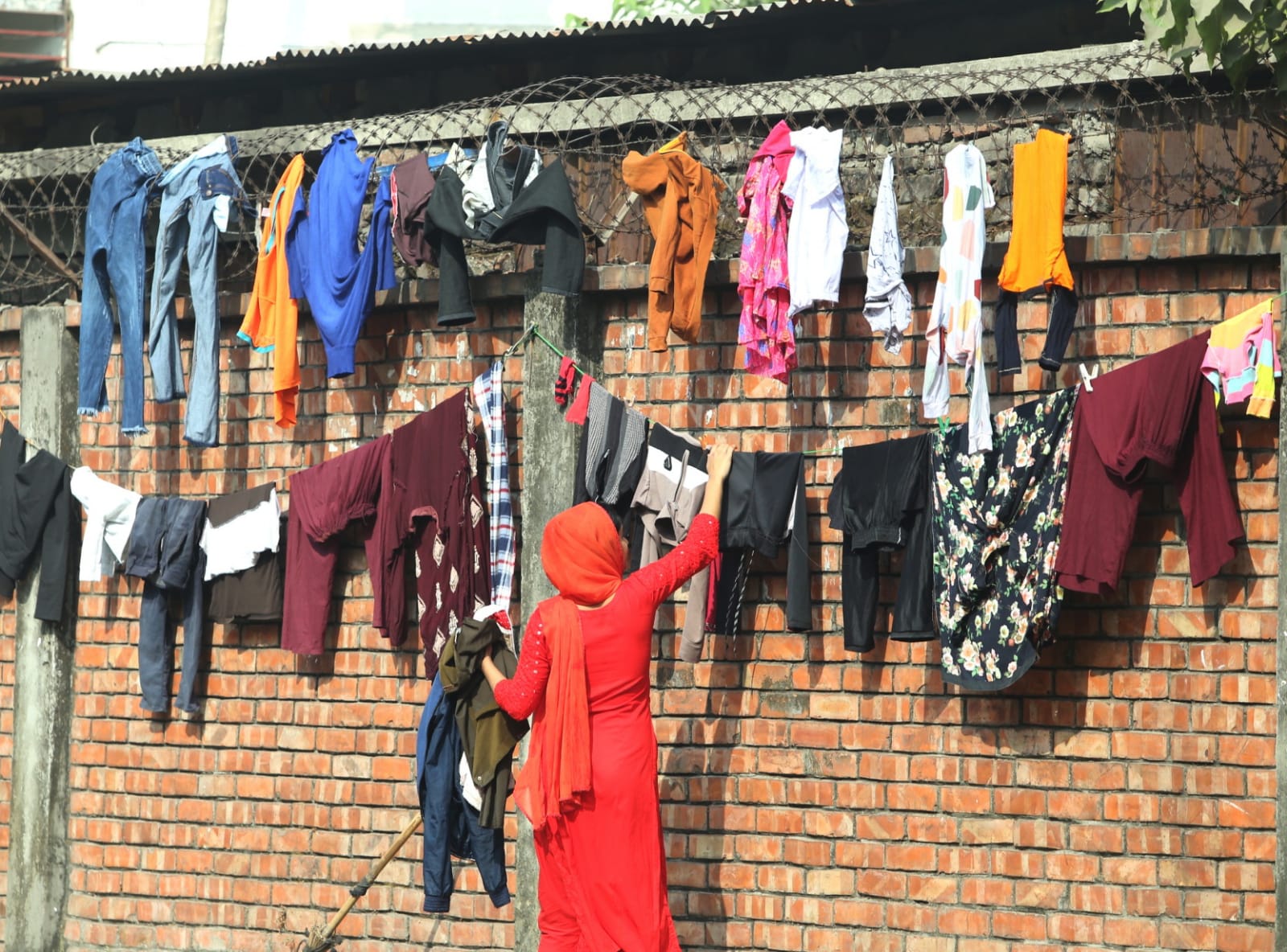 শৈত্যপ্রবাহের পর রোদ, শহরজুড়ে স্বস্তির দৃশ্য