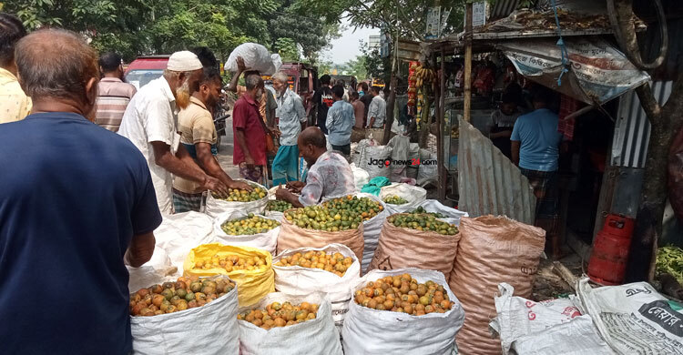 ঝালকাঠিতে সুপারির ভালো ফলনেও দামে আশাহত চাষিরা