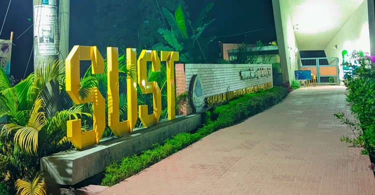 বাড়ছে ছিনতাইকারীদের উৎপাত, ভুক্তভোগী নারী শিক্ষার্থীরা