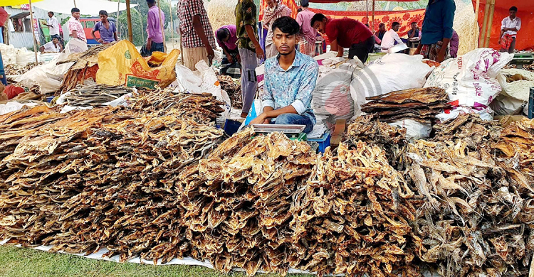 ঐতিহ্য হারাচ্ছে ৩০০ বছরের শুঁটকি মেলা