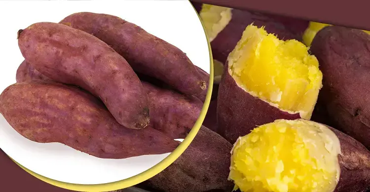 এই সবজি বদলে দিতে পারে আপনার দৃষ্টি