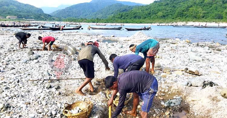 Relentless stone looting ruins Bholaganj's white stone quarry