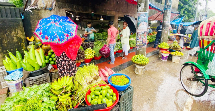 পেঁপে ছাড়া ৬০ টাকার নিচে মিলছে না কোনো সবজি