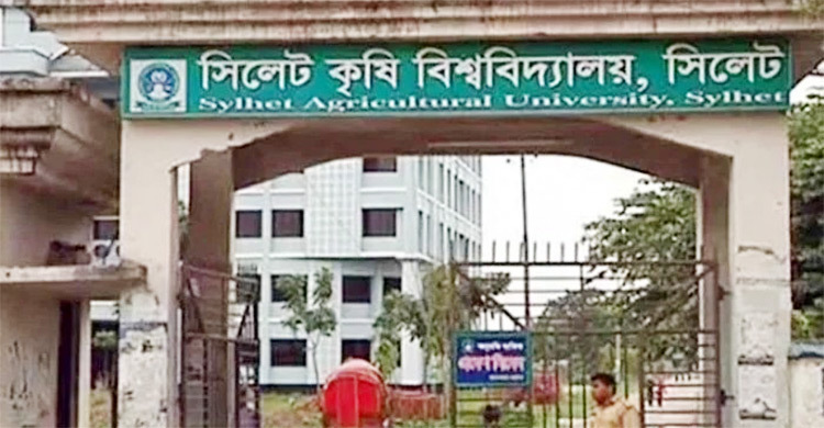 সিকৃবিতে নিয়োগ ইস্যুতে উত্তেজনা, শিক্ষকদের দুই পক্ষের হাতাহাতি