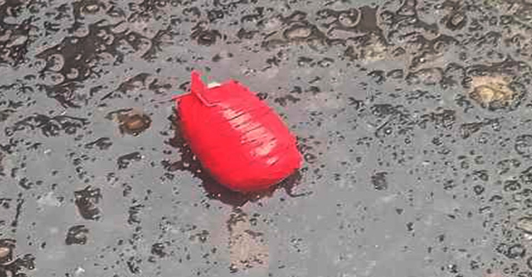 সিলেটে বিএনপির মিছিলে ককটেল বিস্ফোরণ, যুবক আটক