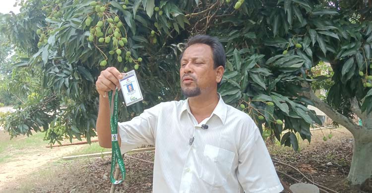ফল চাষে ভাগ্য ফিরেছে সিরাজুলের