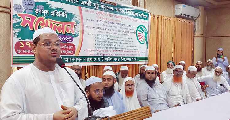 তত্ত্বাবধায়ক সরকার দিতে এত ভয় কেন: চরমোনাই পীর